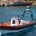 Guardia Costiera La Maddalena – Titolare di cantiere nautico di Roma offriva gite turistiche alle isole dell’Arcipelago con una moderna barca a vela e pubblicizzava tale attività […]