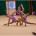 La società di ginnastica ritmica “Stella del Mare” ha aperto la stagione agonistica con il campionato di categoria e la gara di rappresentativa di serie “C”. La [&hellip;]