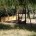 Di Emilio Lintas – Il parco giochi di Murticciola, un tempo fiore all’occhiello della zona, versa in in totale abbandono. Il degrado lo si vede soprattutto dalla [&hellip;]