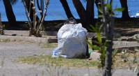 Dal comando dei Vigili Urbani ci fanno notare che l’auto abbandonata da molto tempo in località la Ricciolina è stata rimossa (era ora), ma molte altre, alcune [&hellip;]
