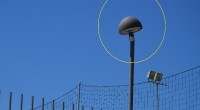 Oltre ai giochi della trinita, abbandonati e pericolosi, e di San Francesco nuove segnalazioni arrivano dal Parco Giochi di Padule. Dopo i ratti, cani che giocano all’interno [&hellip;]