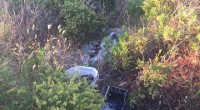 Nella giornata di martedì ci hanno segnalato un catamarano sugli scogli nella zona della Ricciolina-Isuleddu. Ci siamo recati sul posto e giunti in una zona siamo stati [&hellip;]