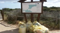 Ci sembra giusto evidenziare l’iniziativa volontaria di alcuni dipendenti del Parco nel raccogliere rifiuti abbandonati nell’isola di Caprera. La raccolta è stata effettuata volontariamente senza alcun coinvolgimento [&hellip;]