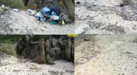 Ottima iniziativa dei dipendenti dell’Ente Parco, guidati dal Direttore Yuri Donno, e dei turisti volenterosi che si sono uniti a loro nel pulire alcune zone dell’Arcipelago di [&hellip;]
