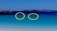Non abbiamo dubbi, il ringraziamento va a Mauro Morandi, l’ex guardiano che continua a tenere sotto controllo l’intera spiaggia e la sua baia, altrimenti la famosa spiaggia [&hellip;]