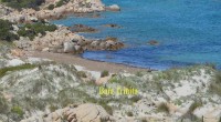 In diverse occasioni abbiamo raccolto lamentele da parte di maddalenini e turisti a riguardo degli arenili sommersi dalle alghe. A nostro parere l’Ente Parco, che a quanto [&hellip;]