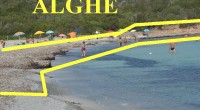 Dopo tanti anni sono ritornato nella spiaggia dei Due mari, ci sono andato con la mia famiglia e nipoti: insomma, senza ex Ministri, Presidente o Vice Sindaco. [&hellip;]