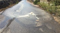 Grazie alla segnalazione a Liberissimo da parte della Guardia Giurata Mauro Ugo che in quel momento transitava in Via Trinita (vedi foto), abbiamo potuto allertare, l’assessore Gianluca [&hellip;]