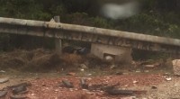 Durante l’estate è stato fatto un lavoro straordinario nonostante il continuo abbandono di rifiuti e detriti edili: i nostri suggerimenti non sono serviti a nulla. Eppure basterebbe [&hellip;]