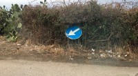 La provincia ha dimenticato la nostra isola. Le tre immagini che vi proponiamo riguardano la strada provinciale che dallo spiazzo di Carlotto arriva fino a Stagno Torto: [&hellip;]