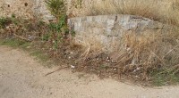Non possiamo fare finta di nulla con coloro che ci hanno segnalato o inviato foto che riguardano il famoso parcheggio dell’Opera Pia. A questo punto sono necessarie [&hellip;]