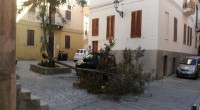 Il forte vento durante la notte tra domenica e lunedì ha lasciato il seglo. Infatti, un albero è stato sradicato in Piazzetta Verdi e la stessa sorte [&hellip;]