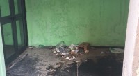 Nella giornata di sabato 4 novembre un genitore di un ragazzo che frequenta la palestra di Via La Marmora ci ha inviato la foto in allegato. Di [&hellip;]