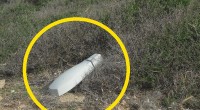 Qualche settimana fa abbiamo denunciato la situazione, poco chiara, dei lampioni stradali tra Tegge e Padule. Dopo l’intervento la zona era bene illuminata, peccato che sia durato [&hellip;]