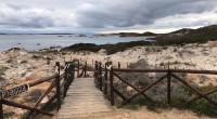 Al Parco non ci sono solo cose negative. Infatti, da mesi riconosciamo l’ottimo lavoro del gruppo dei falegnami e operai impegnati nella sistemazione dei corrimano, staccionate e [&hellip;]