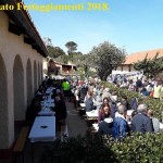 comitato 3