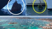 Durante la sosta di Liberissimo abbiamo ricevuto decine di foto che riguardavano il Parco Nazionale Arcipelago di La Maddalena. Immagini che riguardavano l’ancoraggio selvaggio, persone che fumavano [&hellip;]
