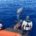 Nella tarda mattinata di oggi, la Guardia Costiera di Lipari veniva allertata dalle biologhe del centro recupero tartarughe dell’isola di Filicudi che si erano imbattute in un [&hellip;]