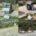 CI proviamo nuovamente: i cassonetti a scomparsa, mai utilizzati dalla loro nascita (2013), fanno parte di un elenco che crea non pochi problemi al nostro ambiente. A [&hellip;]